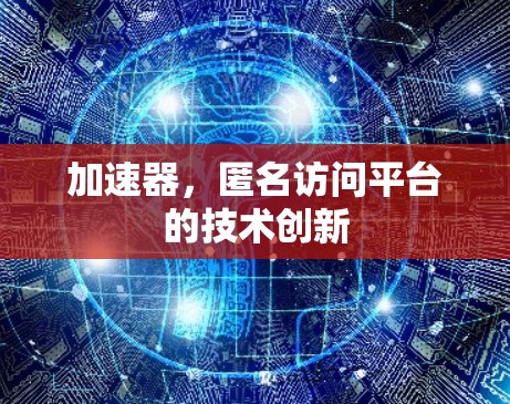 加速器，匿名访问平台的技术创新