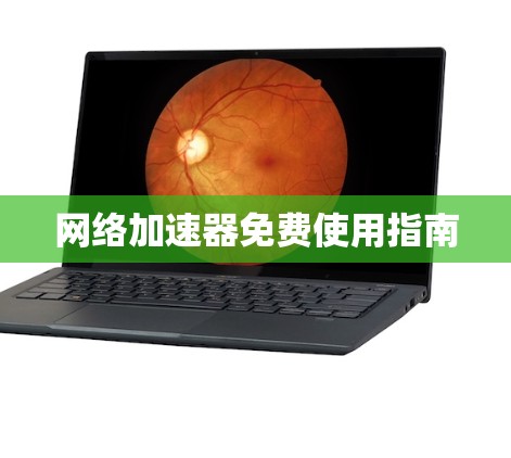 网络加速器免费使用指南