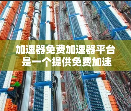 加速器免费加速器平台 是一个提供免费加速功能的工具，旨在提升用户设备的性能和下载速度。以下是对该平台的详细分析