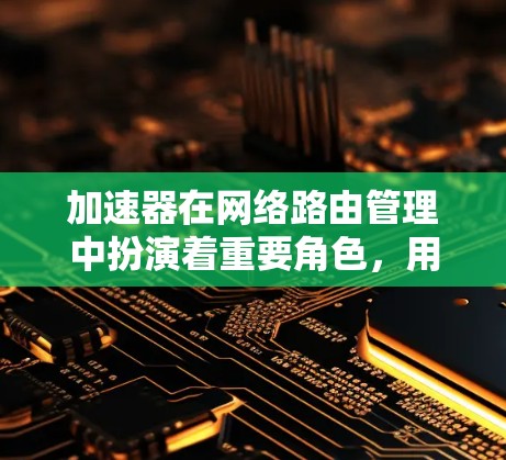 加速器在网络路由管理中扮演着重要角色，用于动态调整路由表，适应网络拓扑的变化。以下是对加速器的详细总结