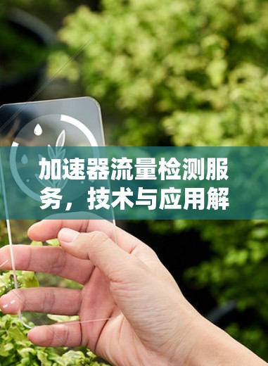 加速器流量检测服务，技术与应用解析