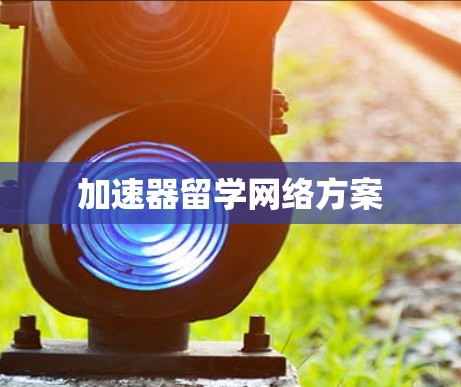 加速器留学网络方案