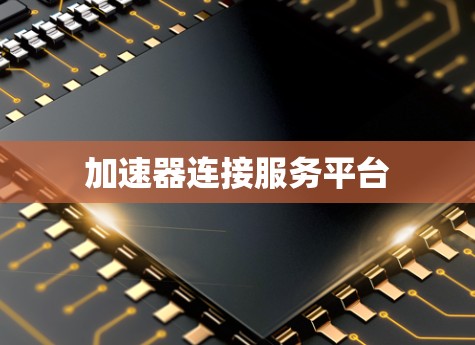 加速器连接服务平台