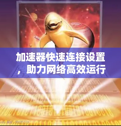 加速器快速连接设置，助力网络高效运行