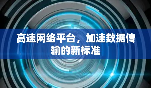 高速网络平台，加速数据传输的新标准
