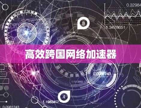 高效跨国网络加速器