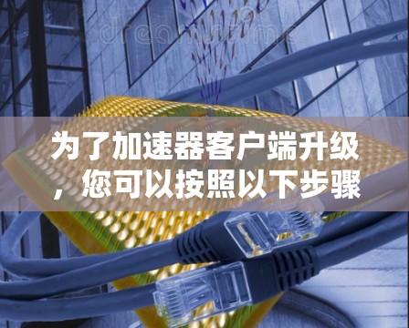 为了加速器客户端升级，您可以按照以下步骤操作