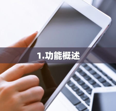 1.功能概述