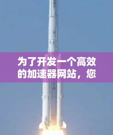 为了开发一个高效的加速器网站，您可以按照以下步骤进行