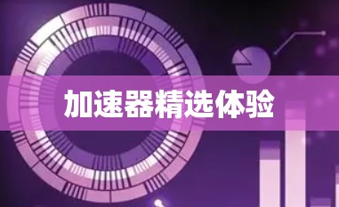 加速器精选体验