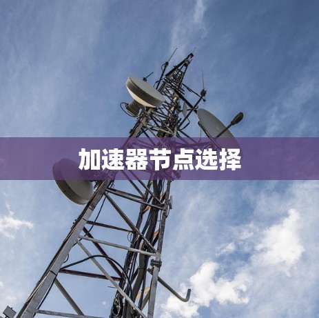 加速器节点选择