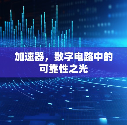加速器，数字电路中的可靠性之光