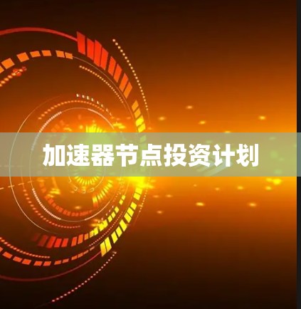 加速器节点投资计划