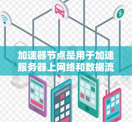 加速器节点是用于加速服务器上网络和数据流的服务器，它们通常包括但不限于以下几种