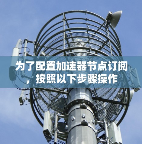 为了配置加速器节点订阅，按照以下步骤操作