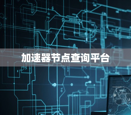 加速器节点查询平台