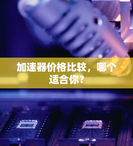 加速器价格比较，哪个适合你？