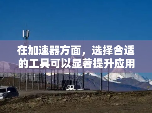 在加速器方面，选择合适的工具可以显著提升应用的运行效率。以下是一些常用的加速器推荐，分为软件加速器和硬件加速器两种类型，帮助您更好地优化应用程序
