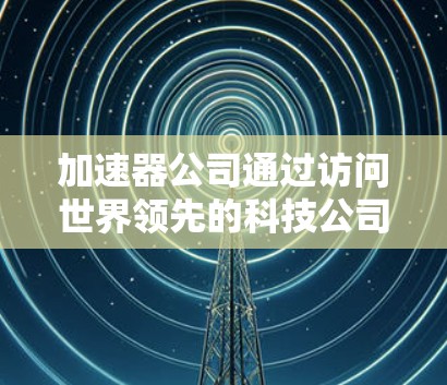 加速器公司通过访问世界领先的科技公司，如英伟达、华为、AMD等，获取技术细节和市场信息，这是一次重要的行业考察和访问机会。以下是关于加速器海外市场访问的详细分析