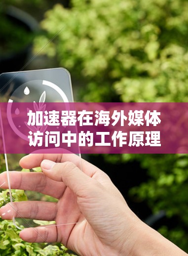 加速器在海外媒体访问中的工作原理及其优化方案，可以通过以下步骤进行
