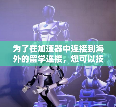 为了在加速器中连接到海外的留学连接，您可以按照以下步骤进行操作