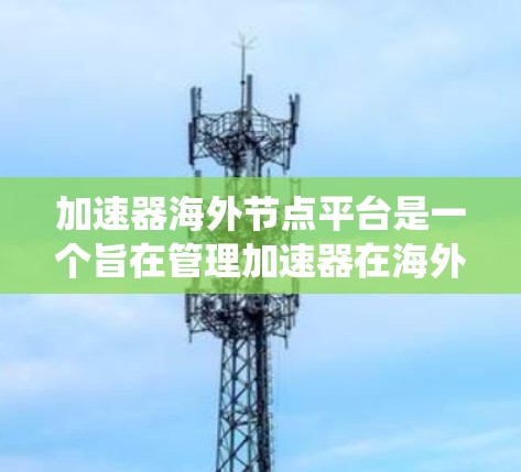 加速器海外节点平台是一个旨在管理加速器在海外国家的部署、连接和使用的统一平台。以下是该平台的主要功能和组成部分