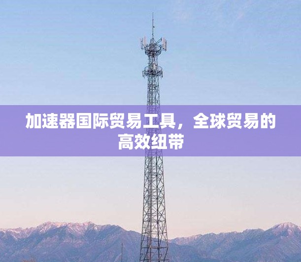 加速器国际贸易工具，全球贸易的高效纽带