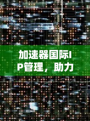 加速器国际IP管理，助力高效网络管理的未来解决方案