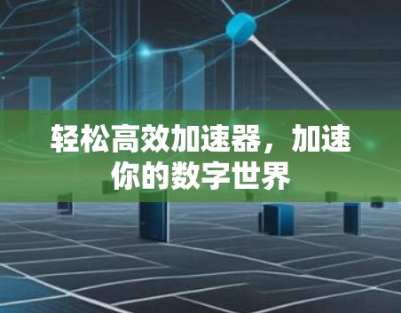 轻松高效加速器，加速你的数字世界