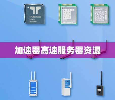 加速器高速服务器资源