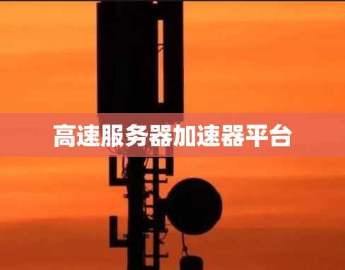 高速服务器加速器平台