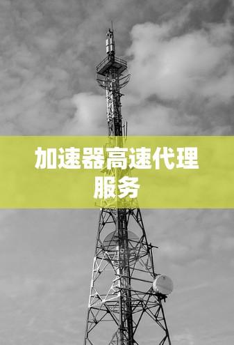 加速器高速代理服务