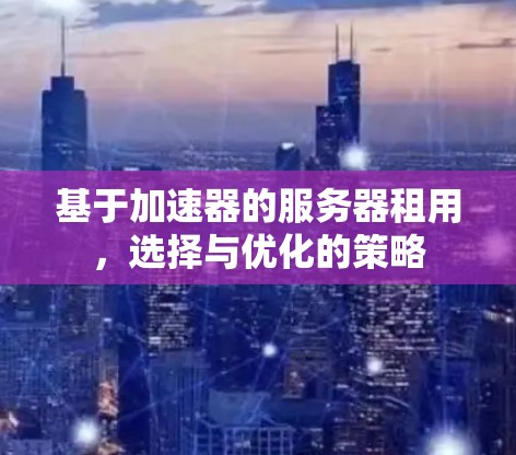 基于加速器的服务器租用，选择与优化的策略
