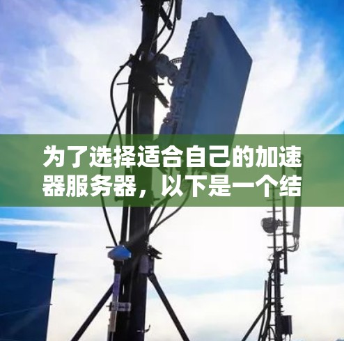 为了选择适合自己的加速器服务器，以下是一个结构化的总结，涵盖关键因素和决策建议