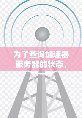 为了查询加速器服务器的状态，您可以按照以下步骤进行操作