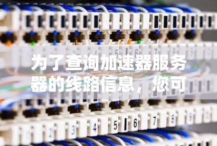 为了查询加速器服务器的线路信息，您可以按照以下步骤进行操作