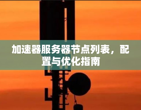 加速器服务器节点列表，配置与优化指南
