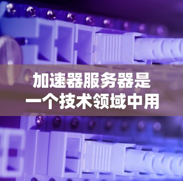 加速器服务器是一个技术领域中用于加速服务器运行的工具或服务，通常用于提高服务器性能、优化网络连接等。以下是关于加速器服务器的一些常见类型和推荐