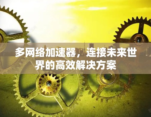多网络加速器，连接未来世界的高效解决方案