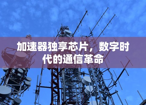 加速器独享芯片，数字时代的通信革命
