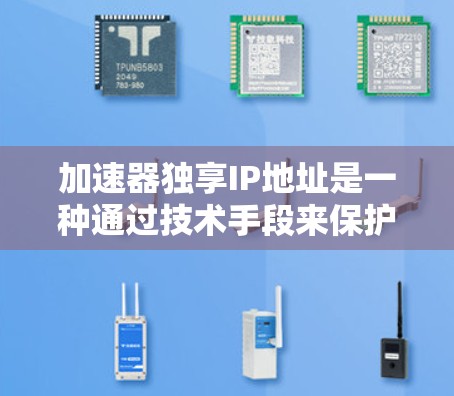加速器独享IP地址是一种通过技术手段来保护加速器安全性的解决方案，旨在满足用户对隐私保护的需求。以下是对此问题的逐步解释和答案