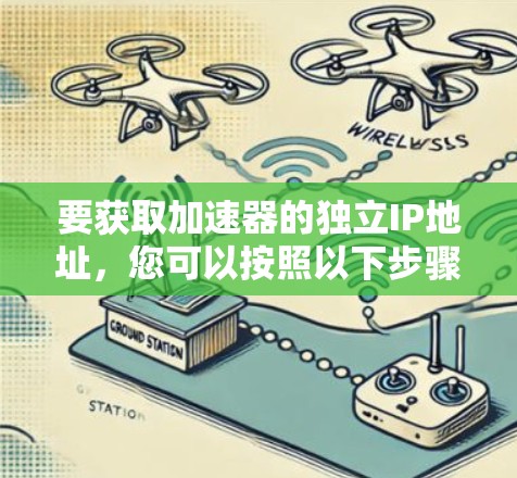 要获取加速器的独立IP地址，您可以按照以下步骤操作