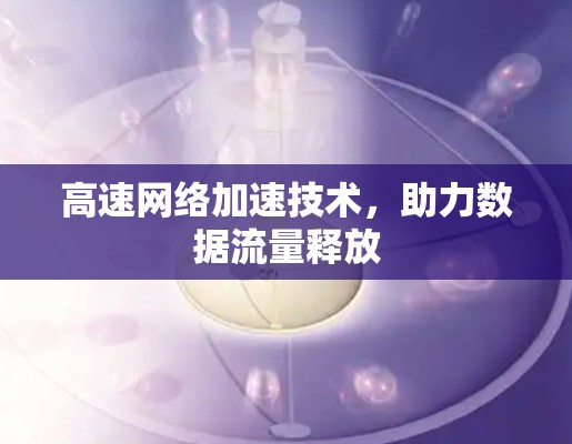 高速网络加速技术，助力数据流量释放