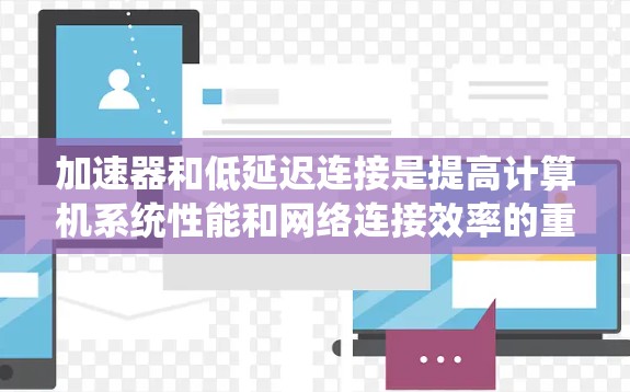 加速器和低延迟连接是提高计算机系统性能和网络连接效率的重要技术，它们在不同场景中各有应用。以下是对这两个概念的详细分析