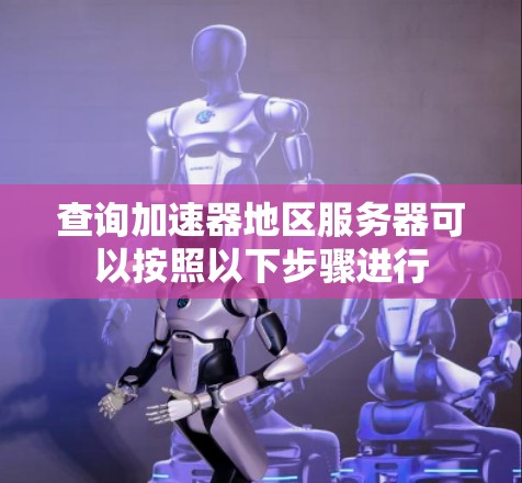 查询加速器地区服务器可以按照以下步骤进行