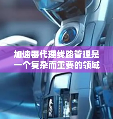 加速器代理线路管理是一个复杂而重要的领域，涉及多个子领域和重要概念。以下是对该领域问题和解决方案的详细总结