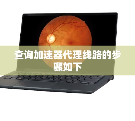 查询加速器代理线路的步骤如下