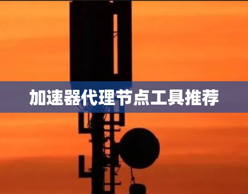 加速器代理节点工具推荐
