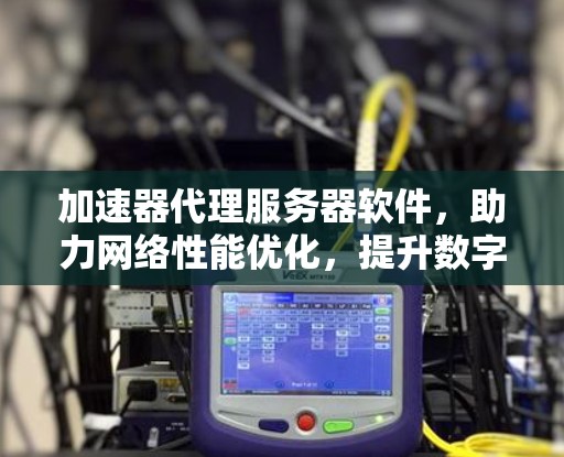 加速器代理服务器软件，助力网络性能优化，提升数字化用户体验