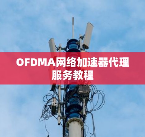 OFDMA网络加速器代理服务教程